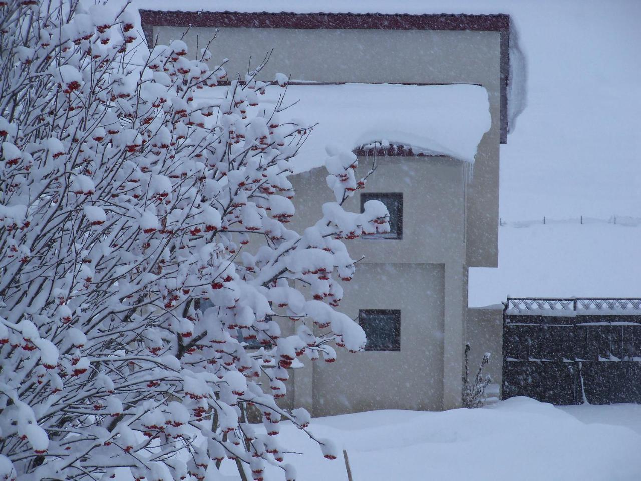 ---Allegria House--- Stepantsminda Exterior foto
